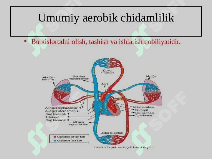 Chidamlilik va chidamlilikni mashq qilish tushunchasi 4