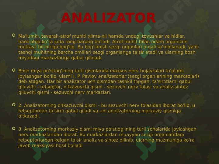 Sezgi organlarining ahamiyati va ko’rish analizatori 2