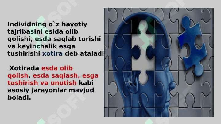 Xotira va xayol 3