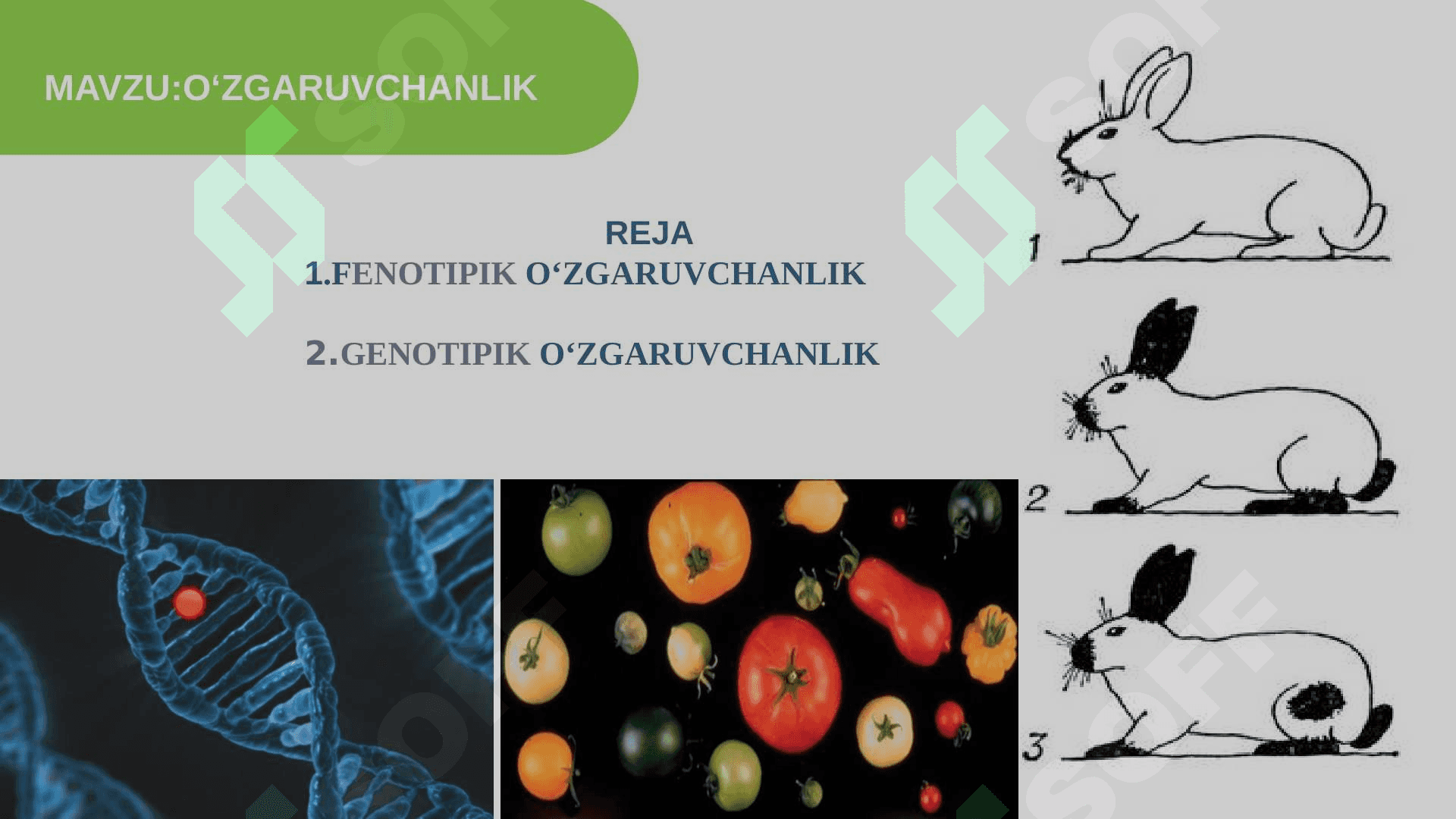 O‘ZGARUVCHANLIK 2