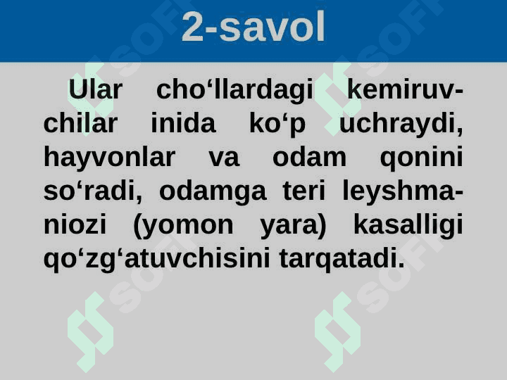 Hasharotlarning kelib chiqishi va ahamiyati 4