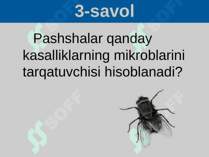 Hasharotlarning kelib chiqishi va ahamiyati 6