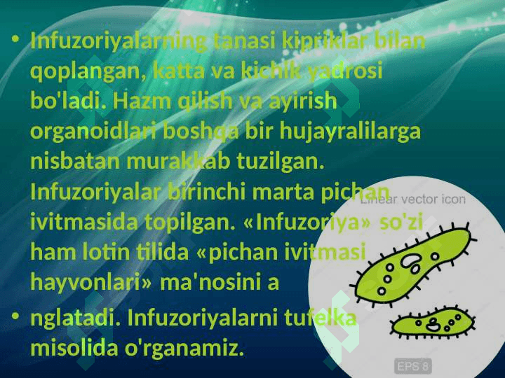 Infuzoriyalar va sporalilar sinflari 4