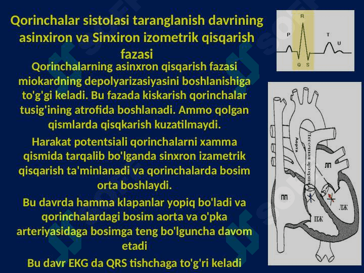 YURAK NASOS FAOLIYATINING FIZIOLOGIYASI 4