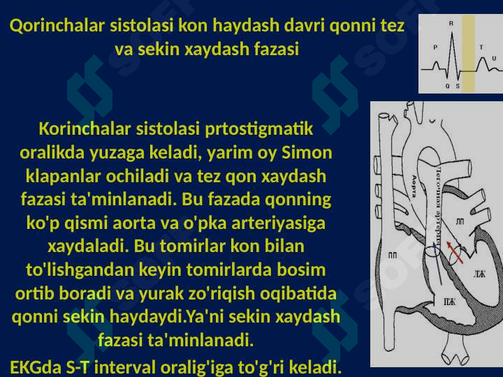 YURAK NASOS FAOLIYATINING FIZIOLOGIYASI 5