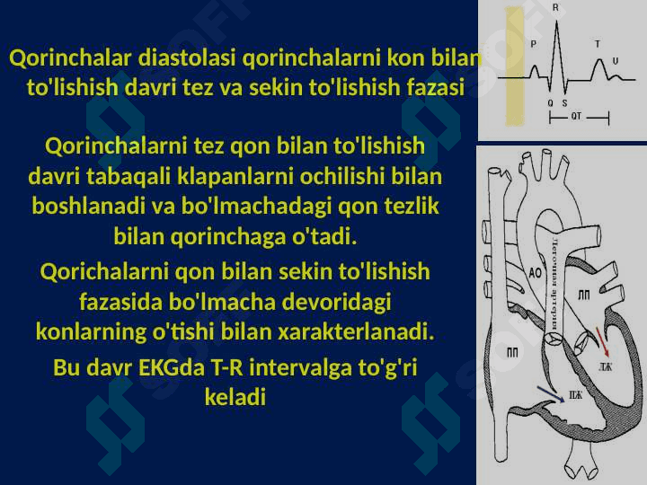 YURAK NASOS FAOLIYATINING FIZIOLOGIYASI 7
