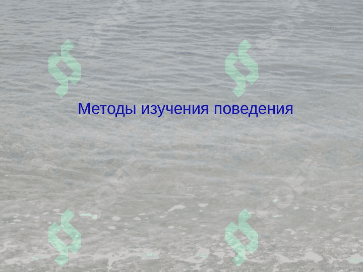 Физиология высшей нервной деятельности 2