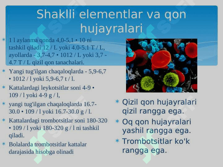 Qon fiziologiyasi 6