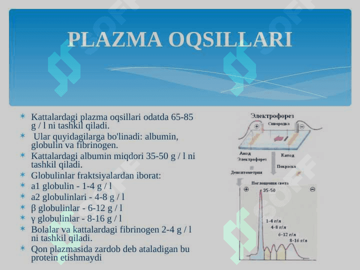 Qon fiziologiyasi 8