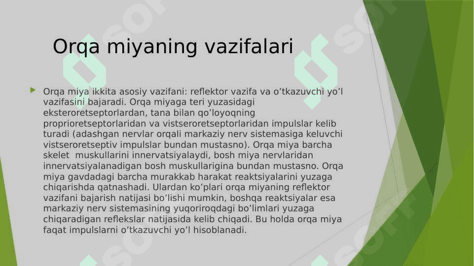 Orqa miya 2