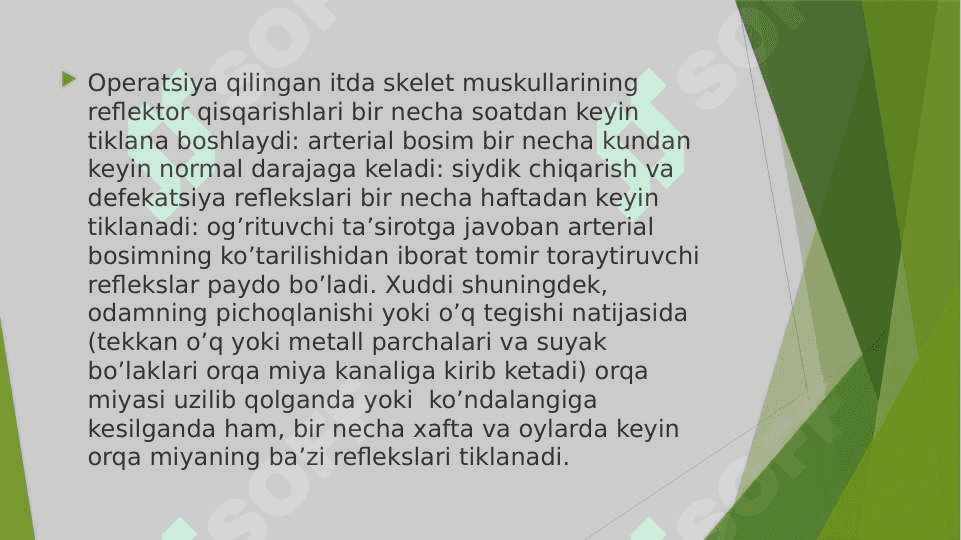 Orqa miya 8