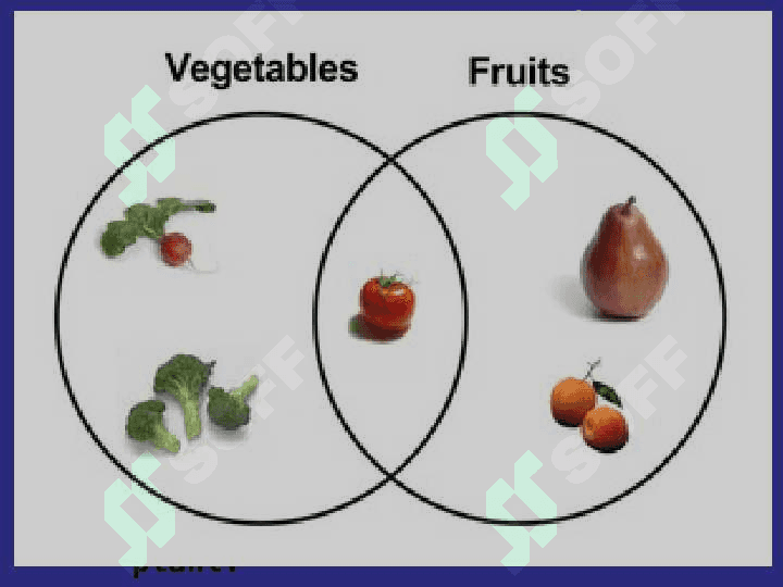 THE FRUIT BASKET 2