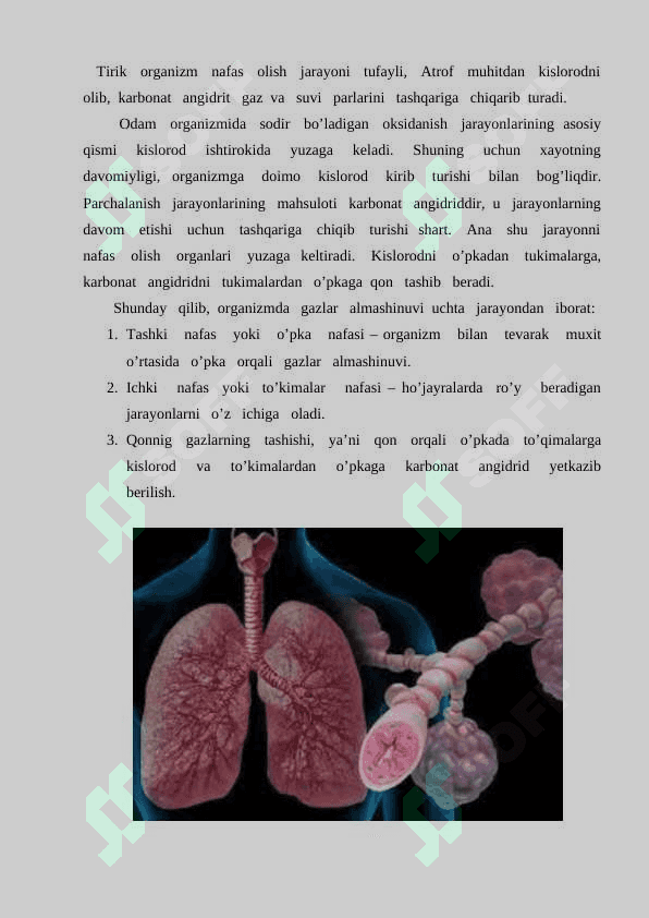 Nafas tizimining yosh xususiyati va gigiyenasi 2