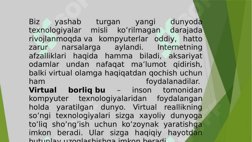 Virtual borliq 2