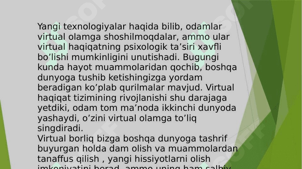 Virtual borliq 4