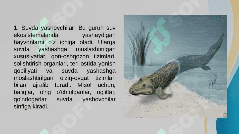 Amfibiyalar sinfi evolutsiyasi va ekologiyasi 4