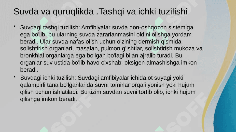 Amfibiyalar sinfi evolutsiyasi va ekologiyasi 7
