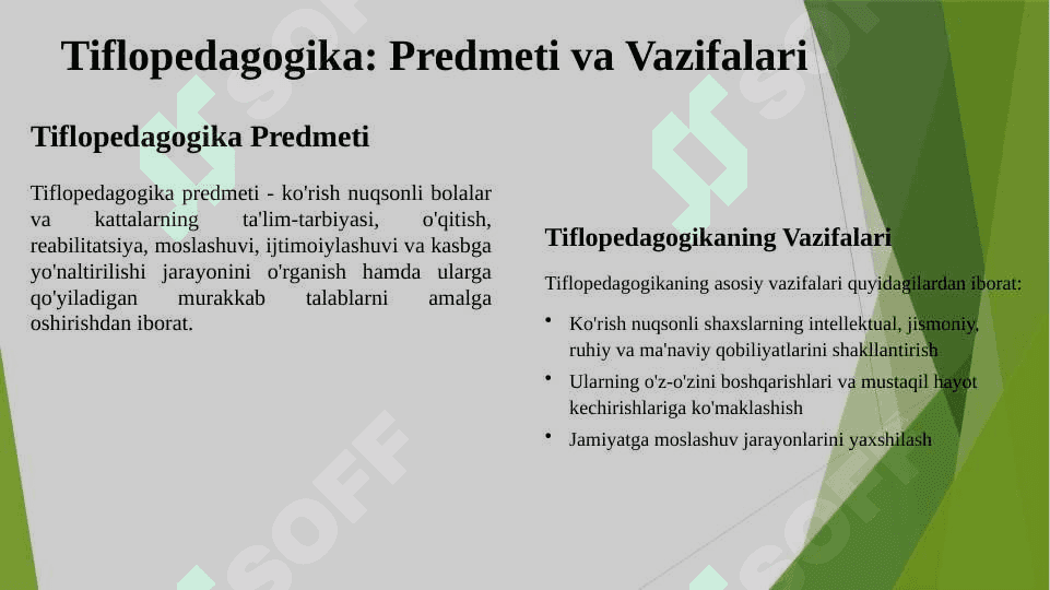 Tiflopedagogikaning rivojlanish tarixi 4