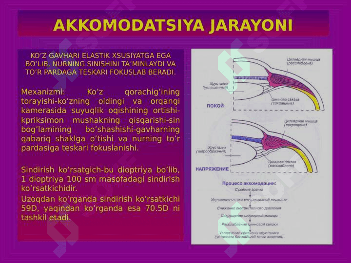 ANALIZATORLARNING FIZIOLOGIYASI 4