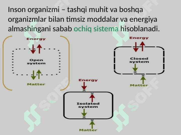 Ichki muhit. Qon sistemasiga kirish 3