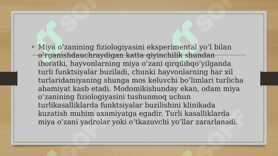 Uzunchoq miya 5