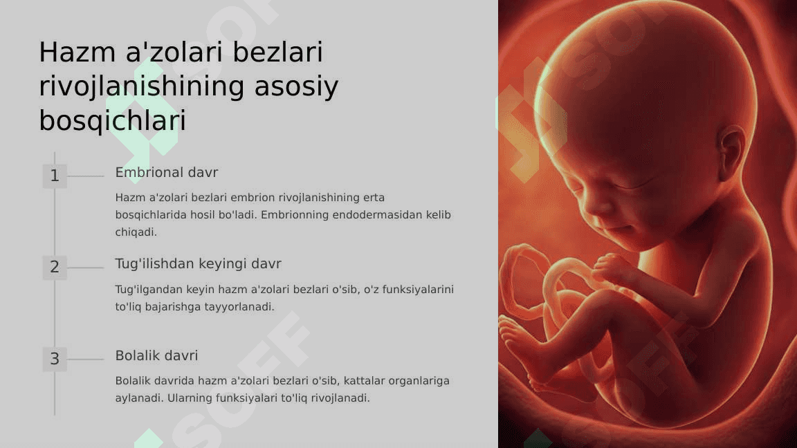 Hazm a'zolari bezlari, postnatal taraqqiyoti, anomaliyalar 4