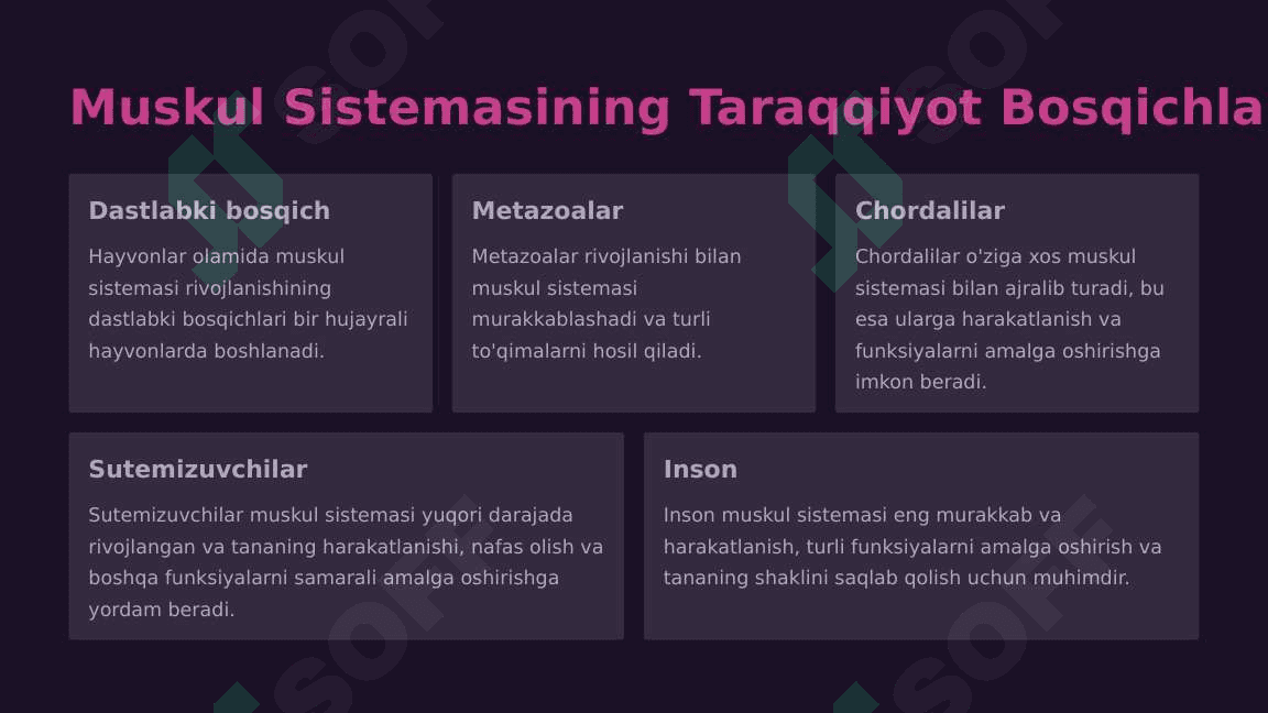 Muskul sistemasi filogenezi va ontogenezi, taraqqiyotiga tashqi omillarning ta'siri 3