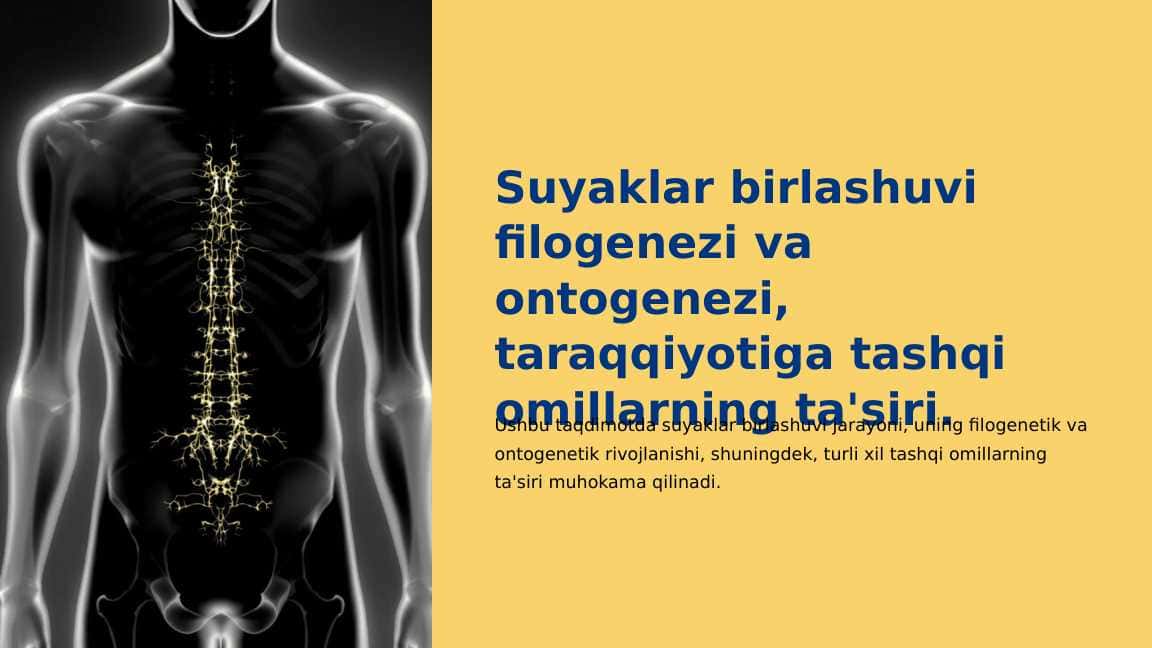 Suyaklar birlashuvi filogenezi va ontogenezi, taraqqiyotiga tashqi omillarning ta'siri
