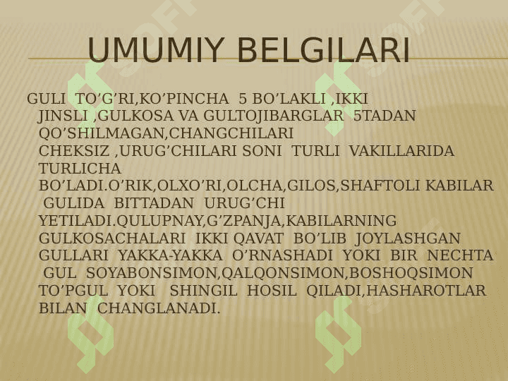 Ra’noguldoshlar  oilasi 6