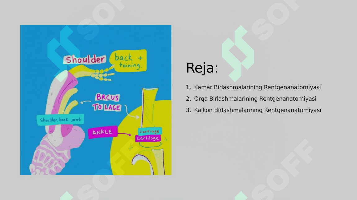 Birlashmalarning rentgenanatomiyasi 2