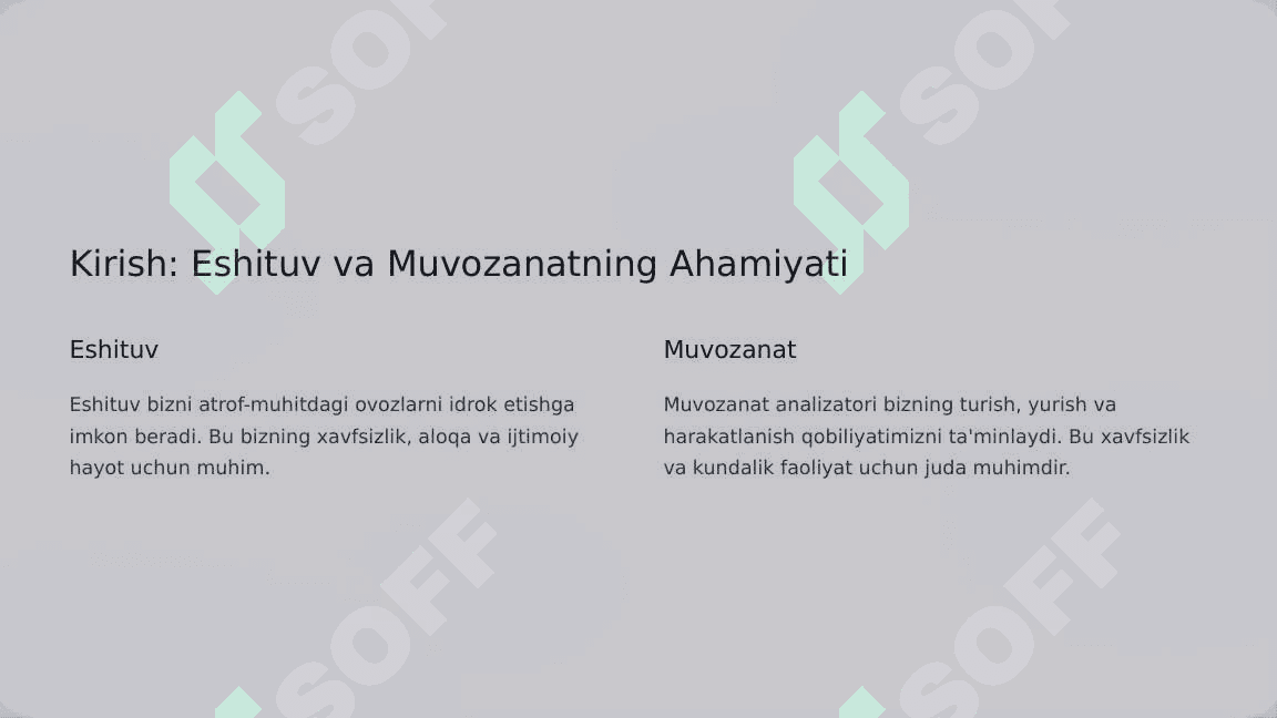Ichki quloq eshituv va muvozanat analizatorlarini o'tkazuv yo'li 3