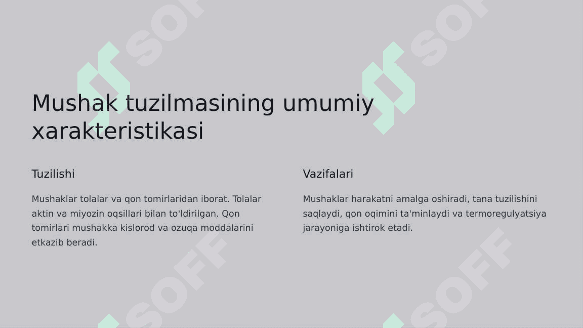 Mushaklarning ishi va biomexanikasi. Lesgaft mushaklar to'g'risida ta'limoti 3