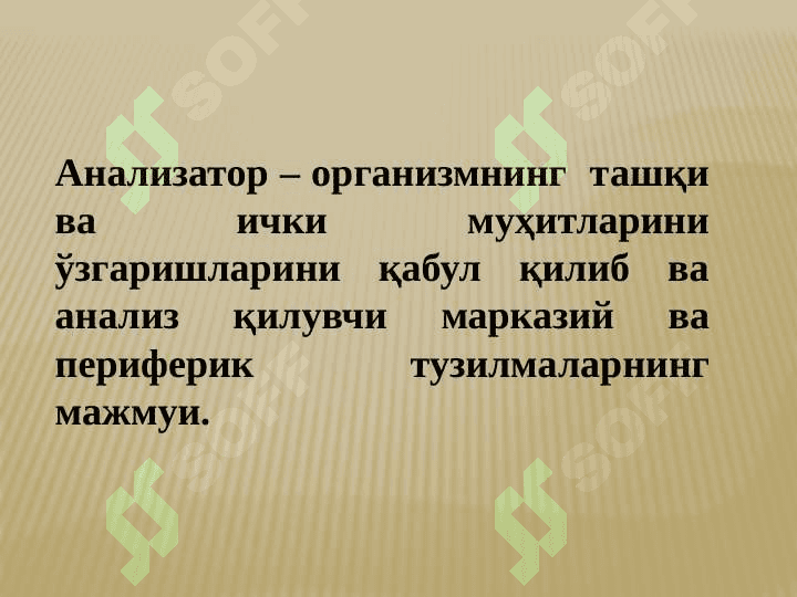 Организмнинг сенсор системаси 2