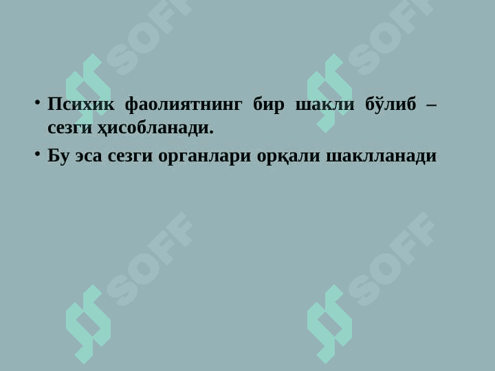 Организмнинг сенсор системаси 6