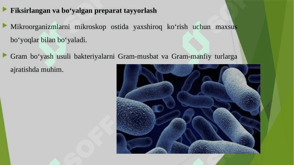 FIKSIRLANGAN, BO'YALGAN PREPARATNI TAYYORLASH, SHARSIMON, TAYOQCHASIMON MIKROORGANIZMLAR VA ULARNING MORFOLOGIYASI BILAN TANISHISH.TUPROQ, SUV XAVO MIKROFLORASINI O'RGANISH. AKTINOMITSILAR VA ULARGA YAQIN ORGANIZMLAR. 3
