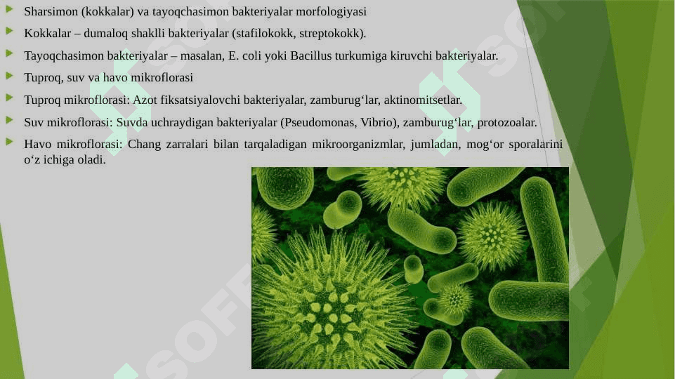 FIKSIRLANGAN, BO'YALGAN PREPARATNI TAYYORLASH, SHARSIMON, TAYOQCHASIMON MIKROORGANIZMLAR VA ULARNING MORFOLOGIYASI BILAN TANISHISH.TUPROQ, SUV XAVO MIKROFLORASINI O'RGANISH. AKTINOMITSILAR VA ULARGA YAQIN ORGANIZMLAR. 4