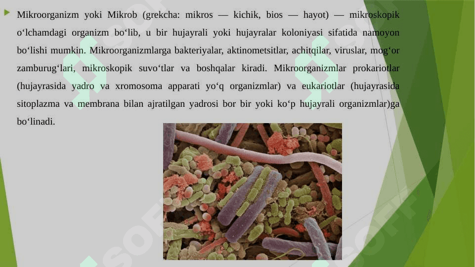FIKSIRLANGAN, BO'YALGAN PREPARATNI TAYYORLASH, SHARSIMON, TAYOQCHASIMON MIKROORGANIZMLAR VA ULARNING MORFOLOGIYASI BILAN TANISHISH.TUPROQ, SUV XAVO MIKROFLORASINI O'RGANISH. AKTINOMITSILAR VA ULARGA YAQIN ORGANIZMLAR. 7