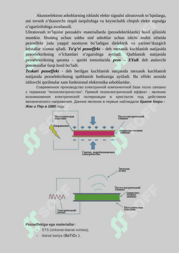 Funksional elekronika. Akustoelektronika va magnitoelektronika asboblari. Bioelektronika haqida tushuncha 2