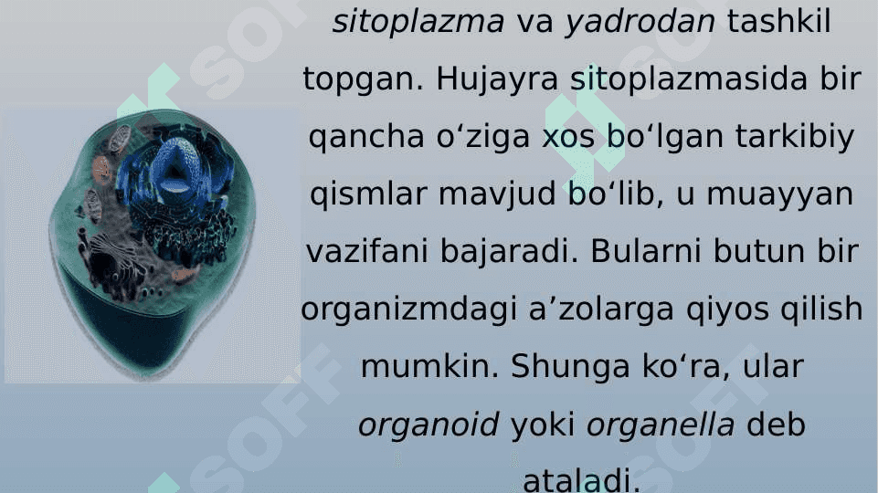 Hujayraning oziqlanishi rivojlanishi va ko`payishi 6