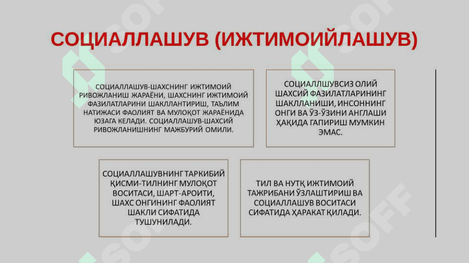 СОЦИОГЕНЕЗДА ШАХС 4