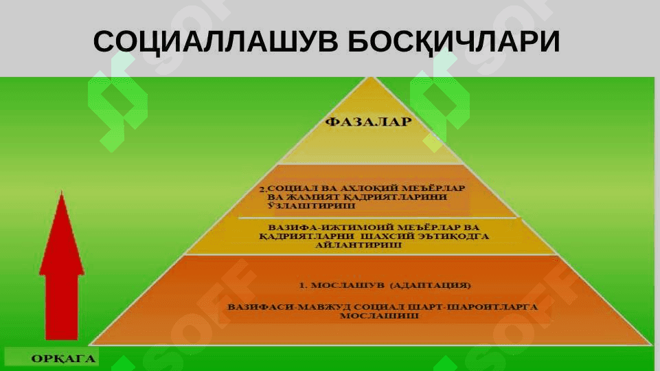 СОЦИОГЕНЕЗДА ШАХС 6