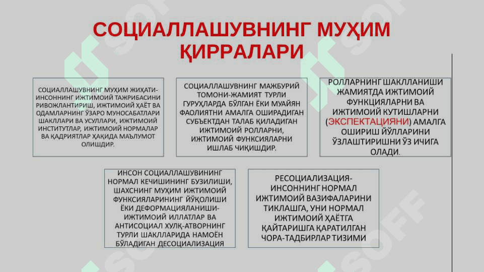 СОЦИОГЕНЕЗДА ШАХС 8