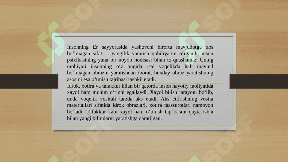 HAYOL 2