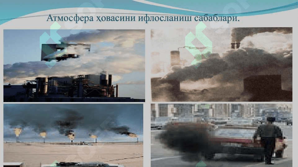 ЭКОЛОГИК МУАММОЛАР ВА УНИ ОЛДИНИ ОЛИШ МАСАЛАЛАРИ 6