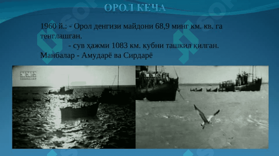 ЭКОЛОГИК МУАММОЛАР ВА УНИ ОЛДИНИ ОЛИШ МАСАЛАЛАРИ 8