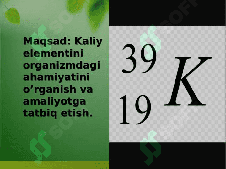 KALIY ELEMENTINI TIRIK ORGANIZMDAGI AHAMIYATI 2