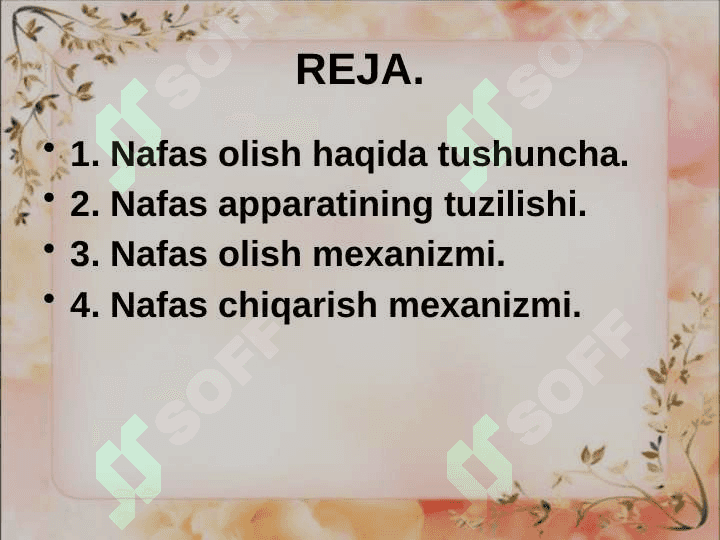 Nafas olish fiziologiyasi 2