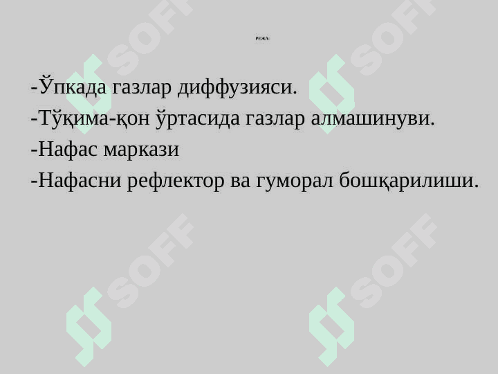 Ўпкада газлар алмашинуви. Қонда газларни ташилиши. Нафас бошқарилиши 2