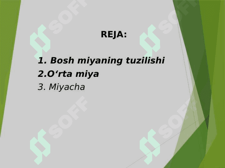 Bosh miya yarimsharlari po'stlog'ining fiziologiyasi 2