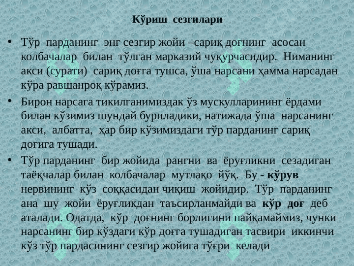 СЕЗГИЛАР 6
